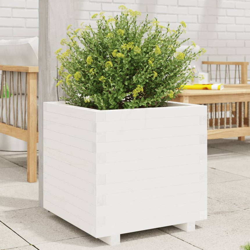 Plantenbak 60X60X49,5 Cm Massief Grenenhout Wit Natuurlijk Douglashout