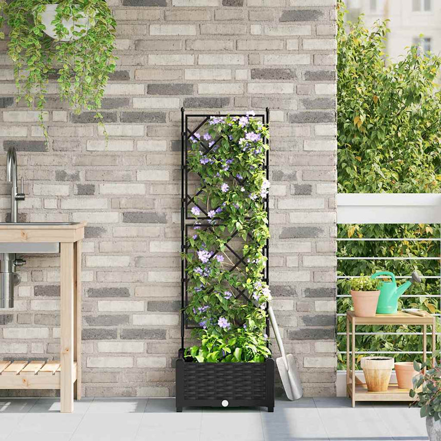 Tuin Plantpot Pp