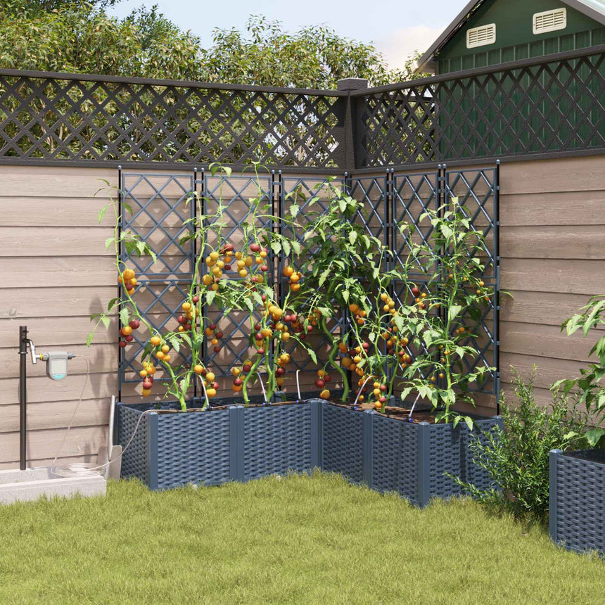 Tuin Plantpot 3 St Pp