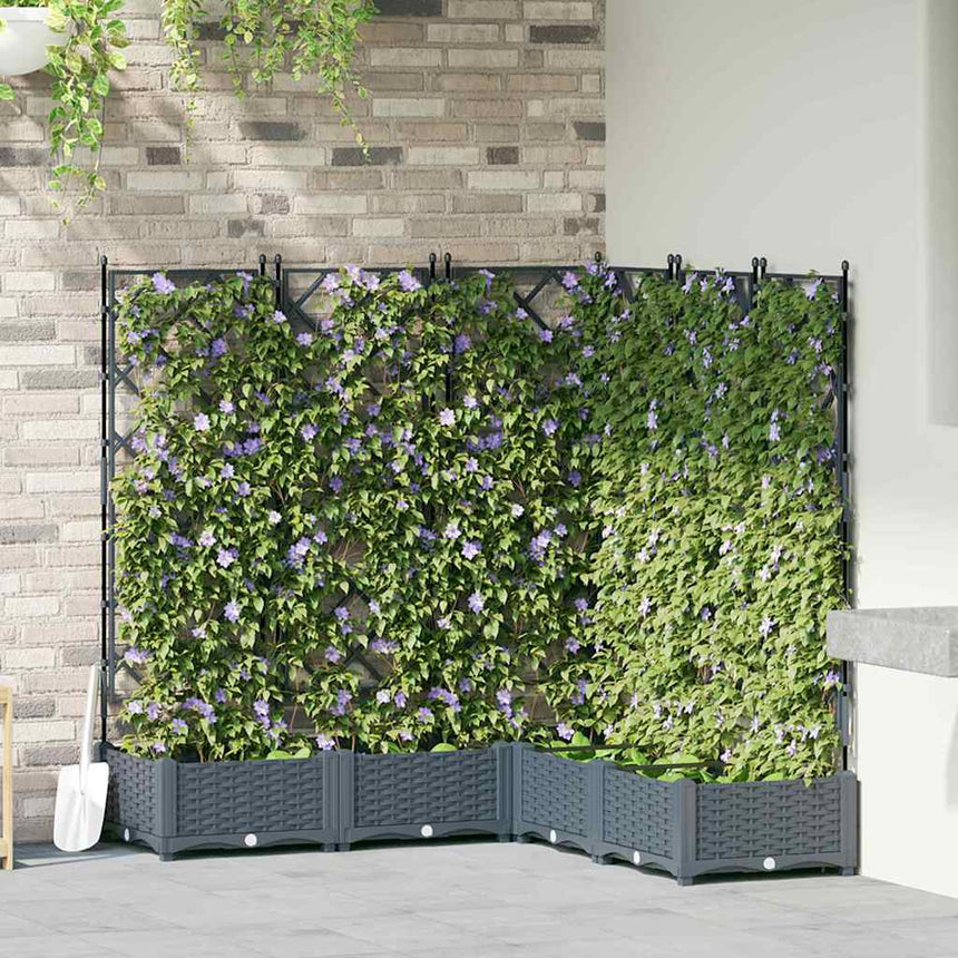 Tuin Plantpot 5 St Pp