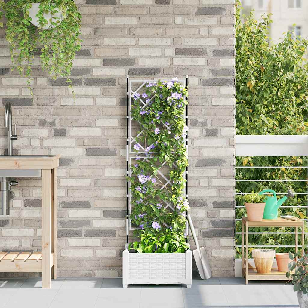 Tuin Plantpot Pp