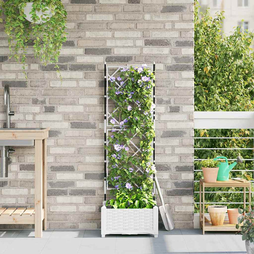 Tuin Plantpot Pp