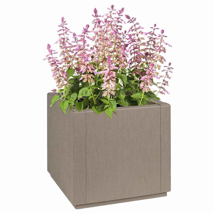 Tuinfleur Box Pp