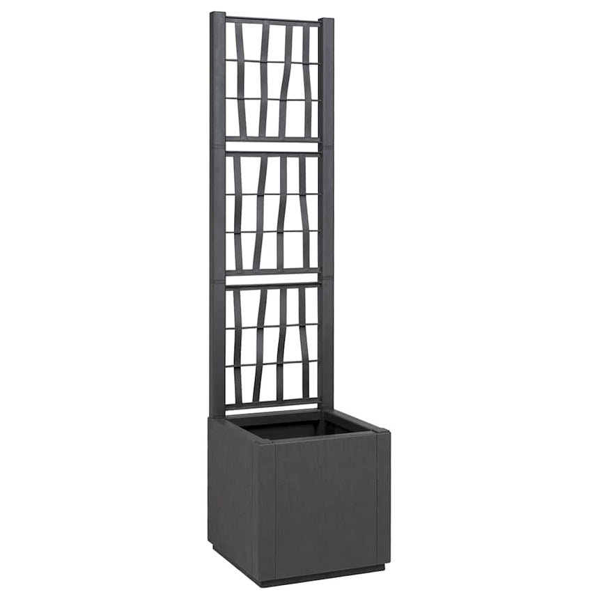 Tuinplanter Met Trellis Pp