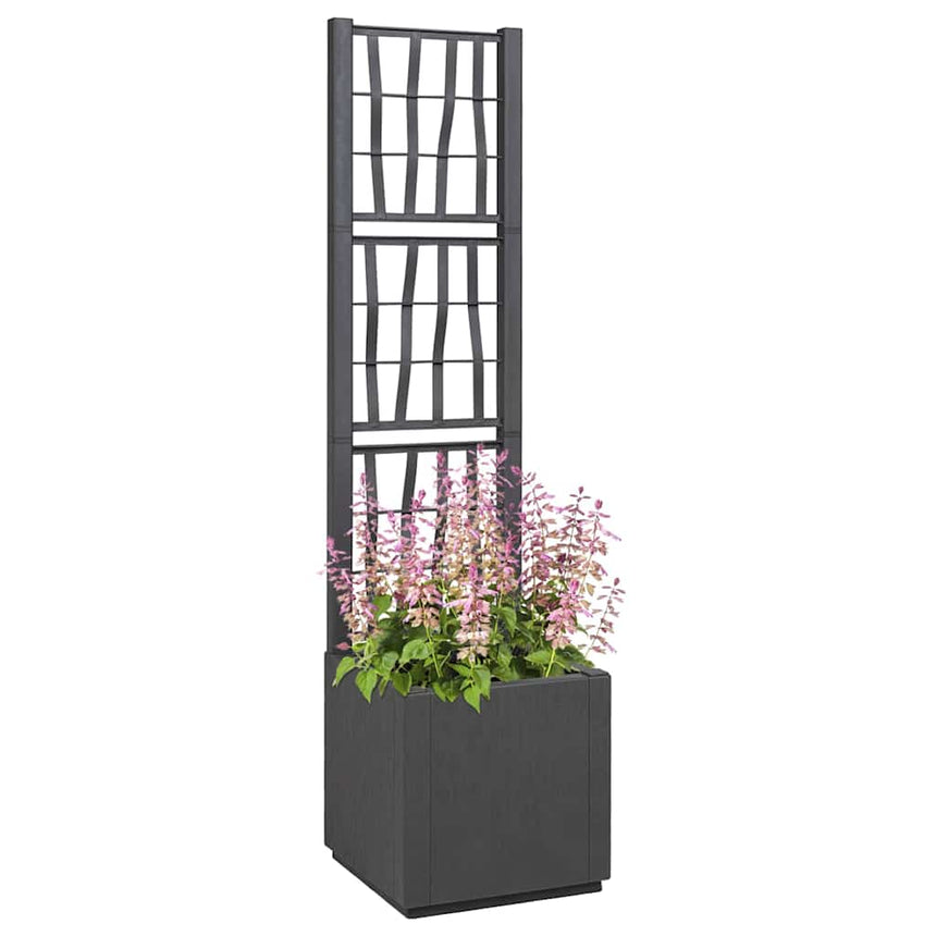 Tuinplanter Met Trellis Pp