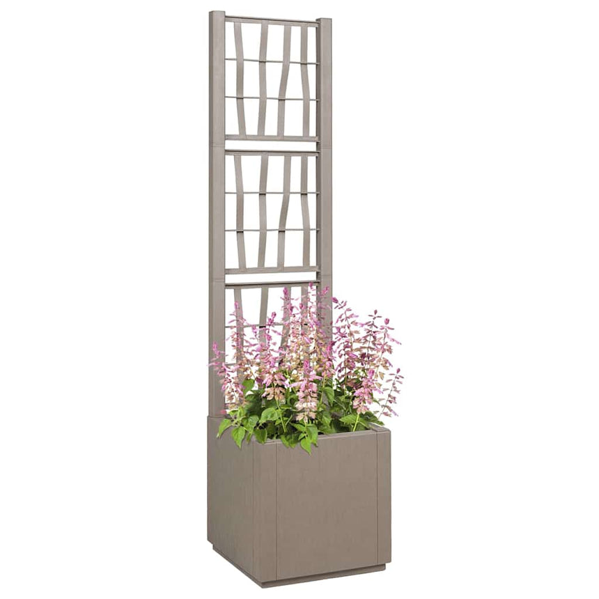 Tuinplanter Met Trellis Pp