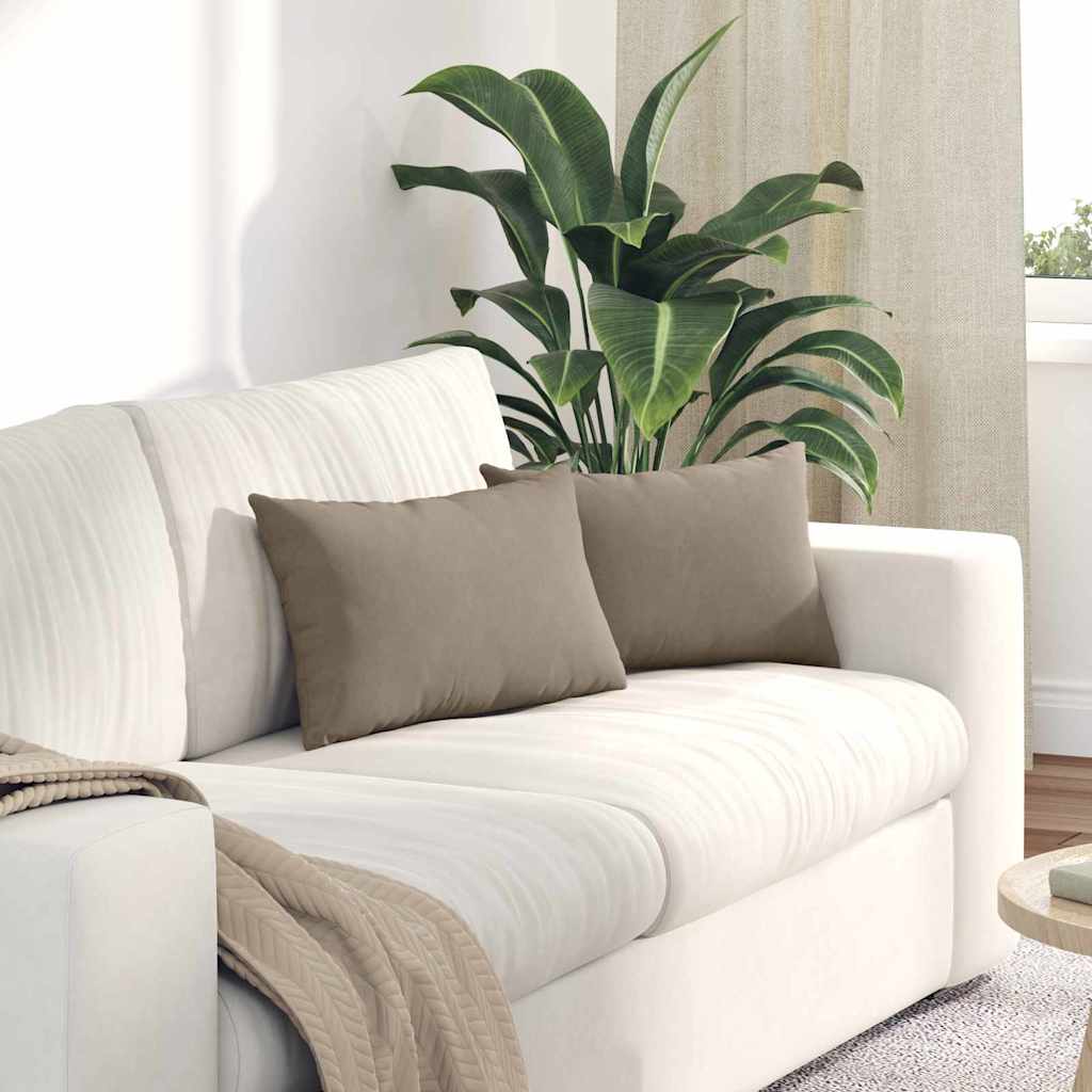 Zitkussens 2 Pcs 50 X 30 Cm Stof