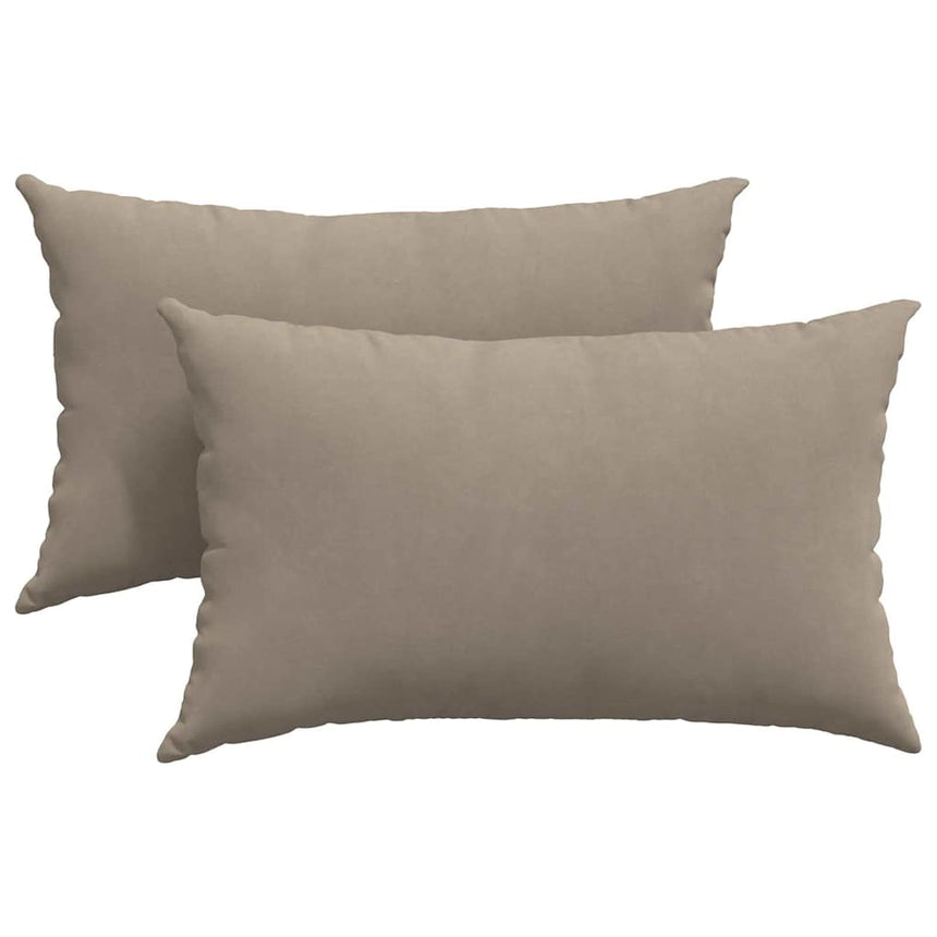 Zitkussens 2 Pcs 50 X 30 Cm Stof