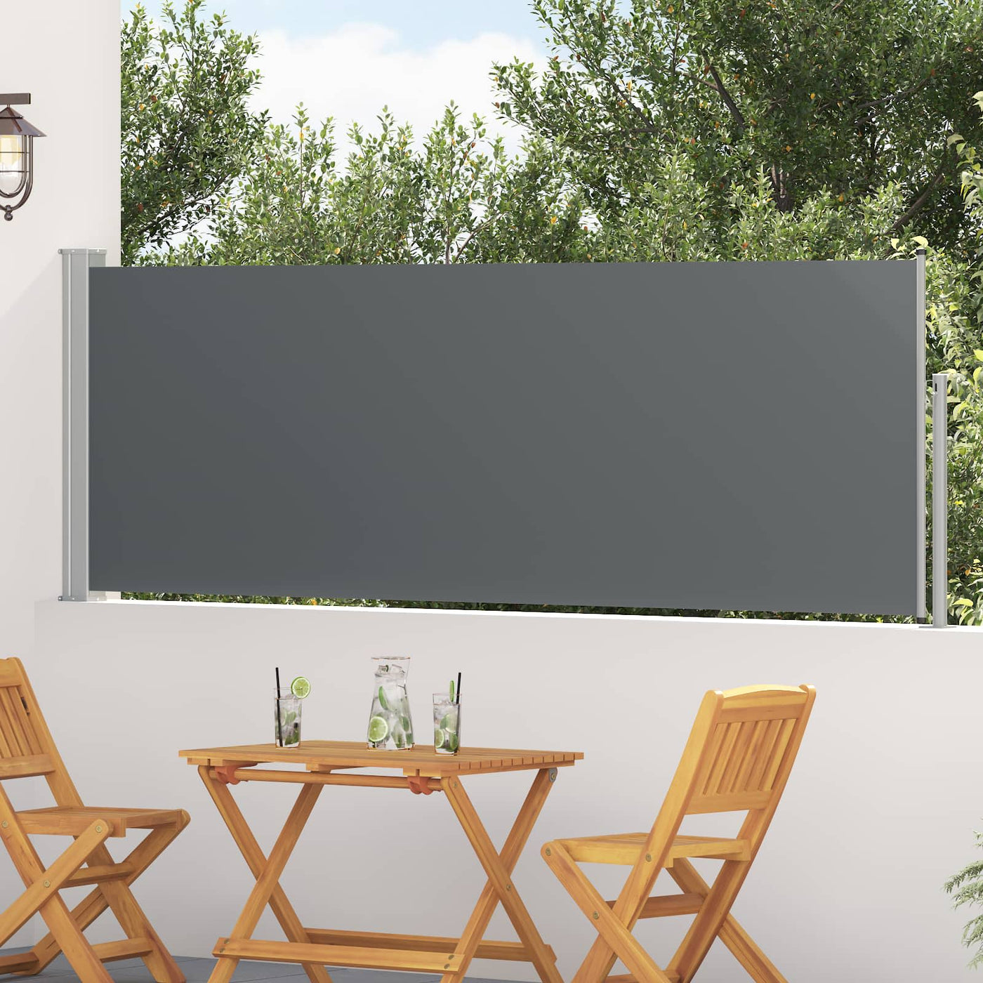 Uittrekbaar Zijscherm 300 X 100 Cm Polyester Antracietkleurig