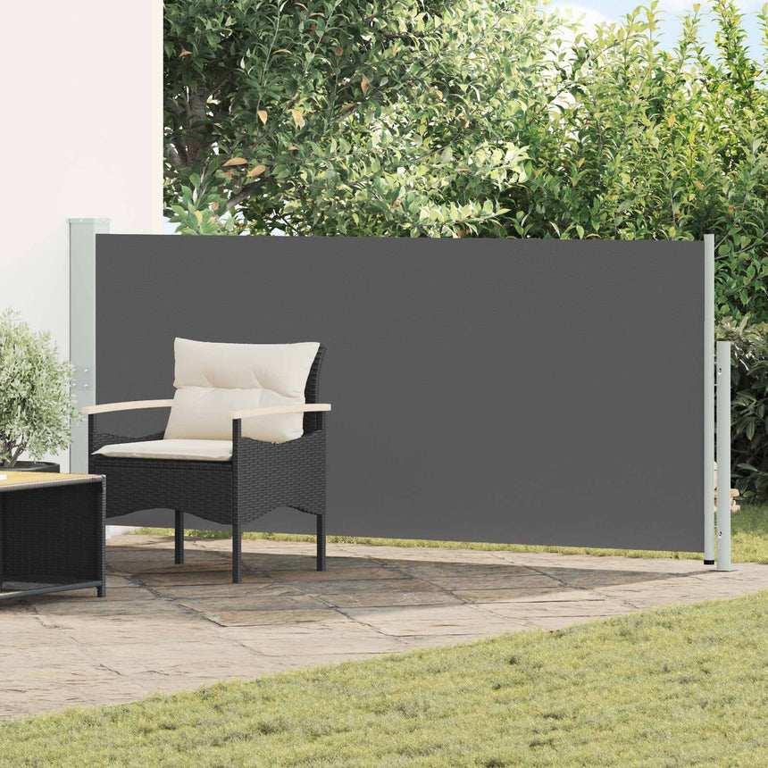 Uittrekbaar Zijscherm 300 X 100 Cm Polyester Antracietkleurig