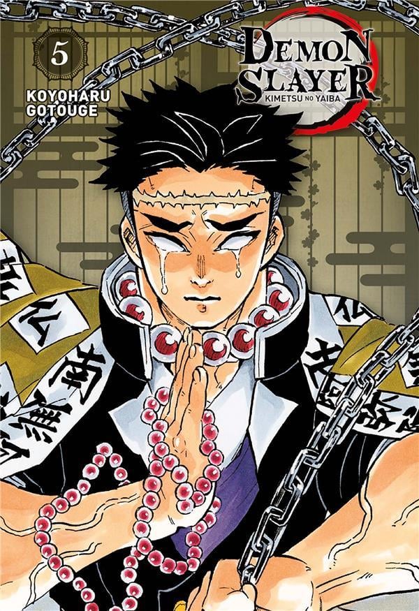 DEMON SLAYER - Tome 5 - Edition Pilier