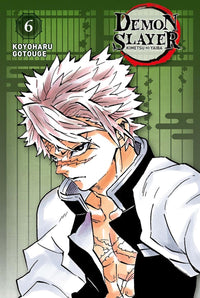 DEMON SLAYER - Tome 6 - Edition Pilier