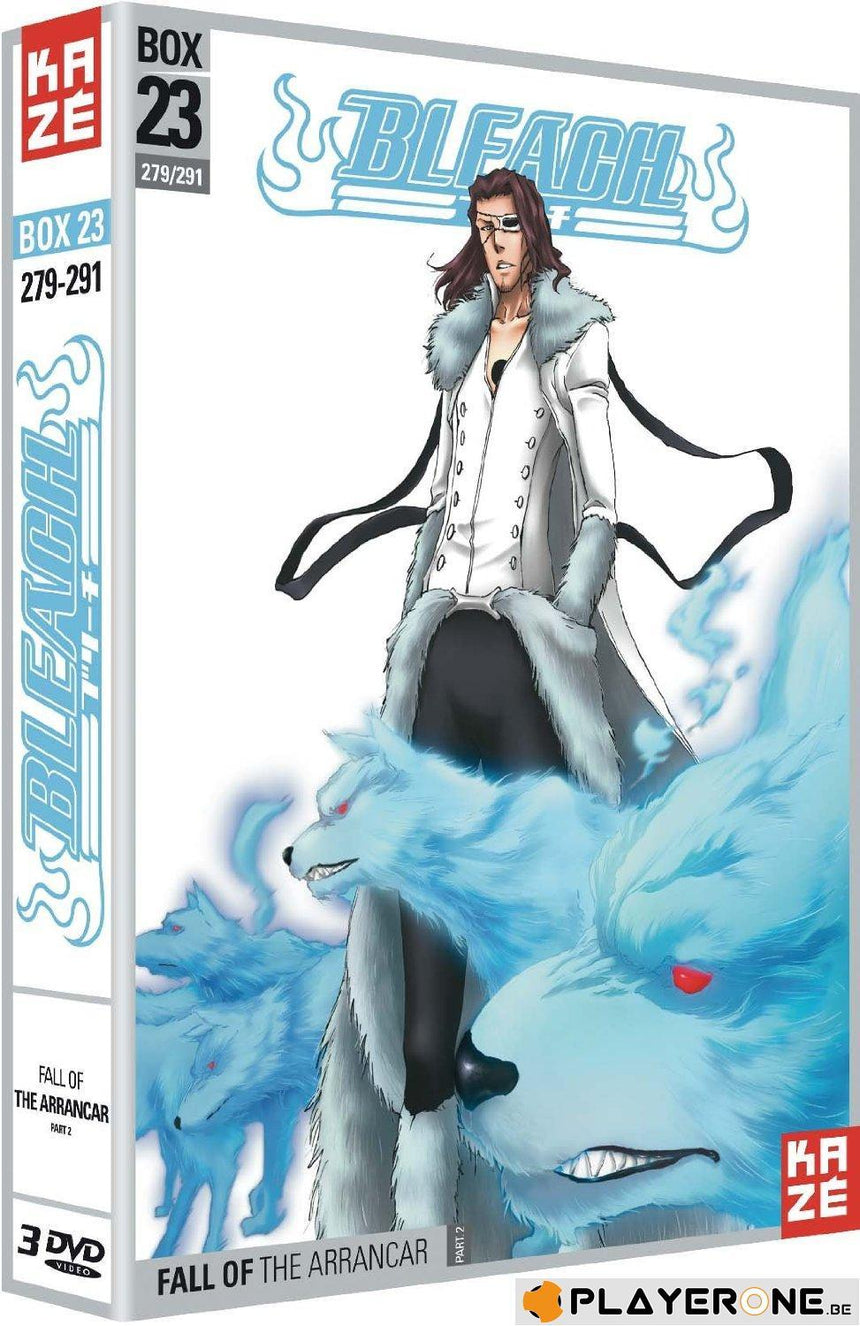 DVD - BLEACH - Box 23 - Saison 5 (Coffret 3 DVD)