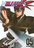 Bleach Vol 5 The Substitute