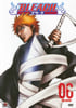 Bleach Vol 6 The Substitute
