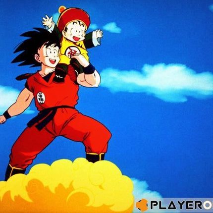 DRAGON BALL Z - Coffret 03/15 ( Episodes 49 a 73 ) - 4 DVD