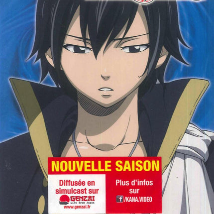 FAIRY TAIL -  Vol 11 (2DVD)