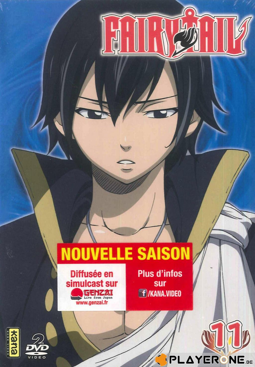 FAIRY TAIL -  Vol 11 (2DVD)