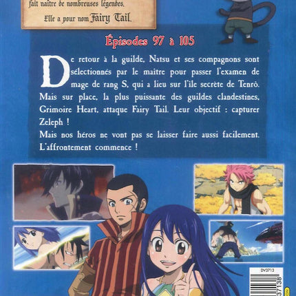 FAIRY TAIL -  Vol 11 (2DVD)