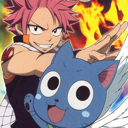FAIRY TAIL -  Vol 14 (2DVD)