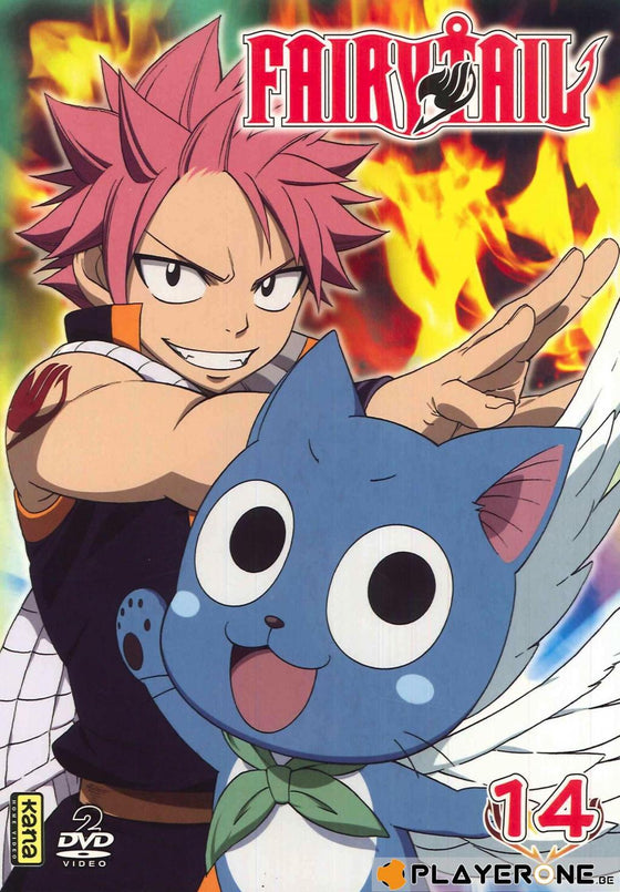 FAIRY TAIL -  Vol 14 (2DVD)