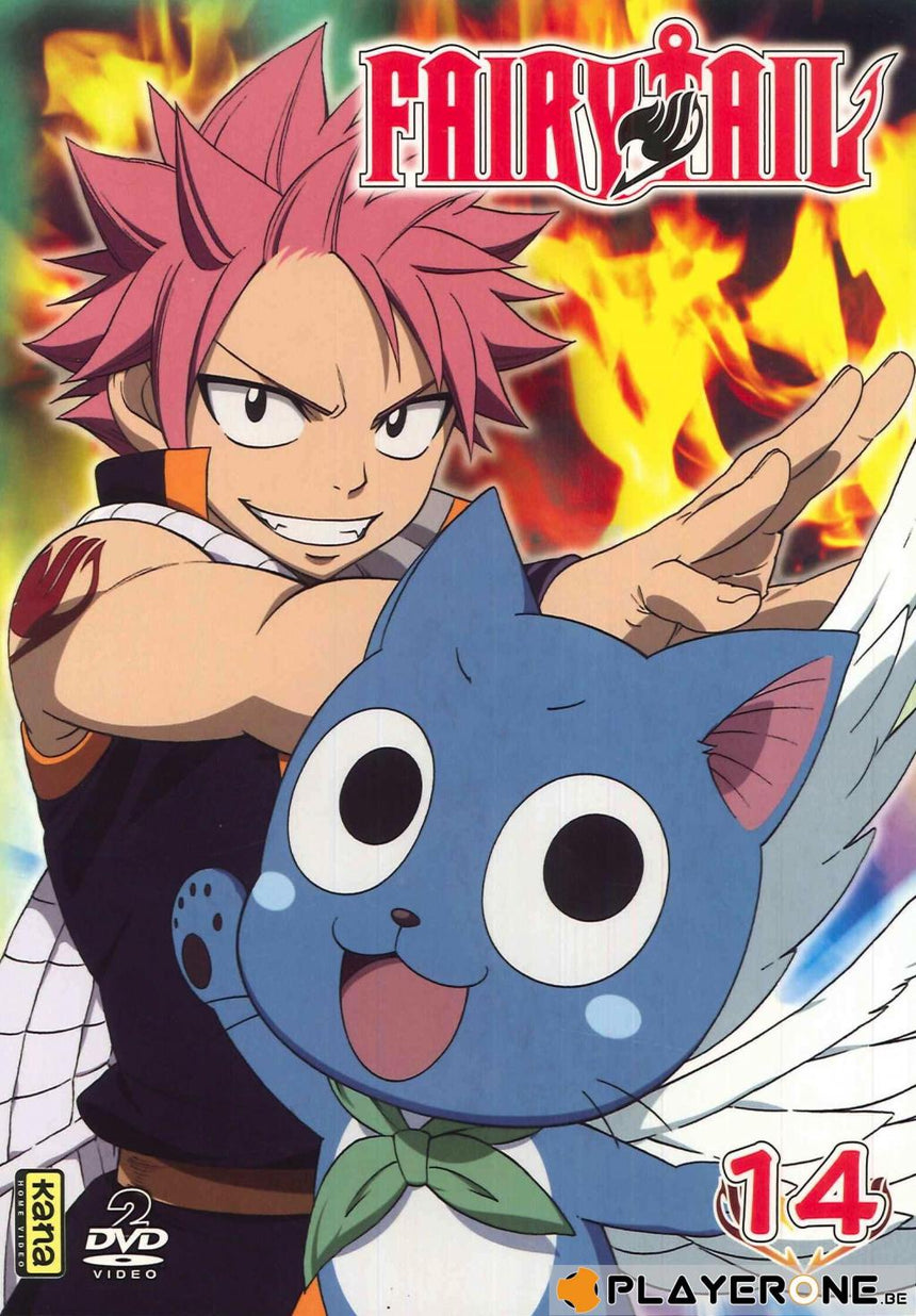 FAIRY TAIL -  Vol 14 (2DVD)