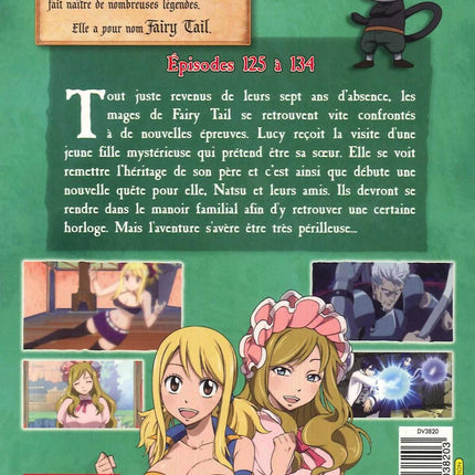FAIRY TAIL -  Vol 14 (2DVD)