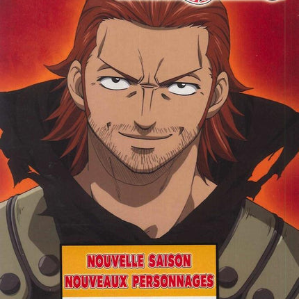 FAIRY TAIL -  Vol 08 (2DVD)