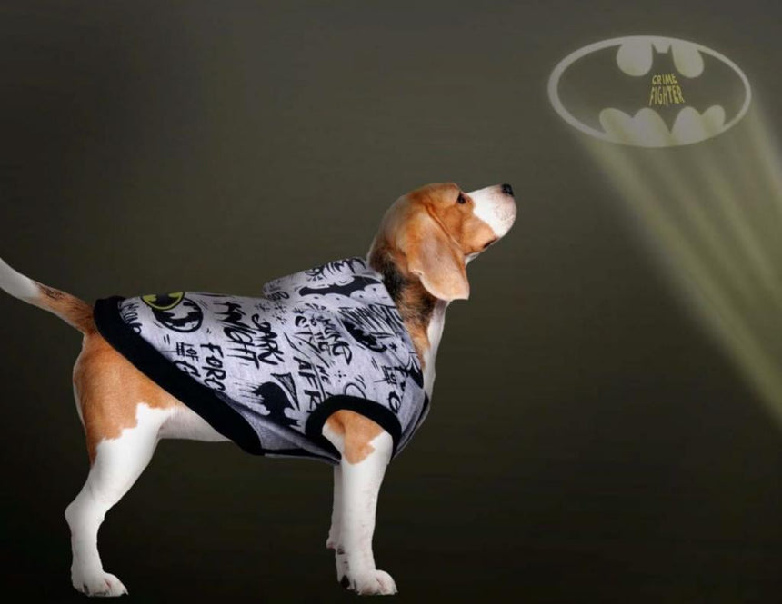 BATMAN - Pull pour Chien - XS