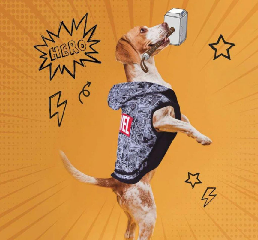 MARVEL - Pull pour Chien - XXS