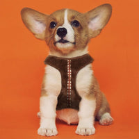 CHEWBACCA - Harnais pour Chien - M/L