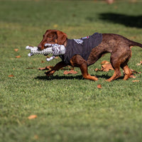 STAR WARS - Veste en Jeans pour Chien - S