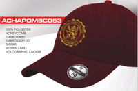 HARRY POTTER - Gryffondor - Casquette de Baseball "Honey Comb"