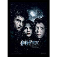 HARRY POTTER - Le Prisonnier d'Azkaban - Impression encadrée 30x40cm