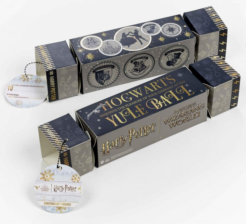 HARRY POTTER - Cracker Cadeau - Collier & Boucles d'Oreilles Lunettes