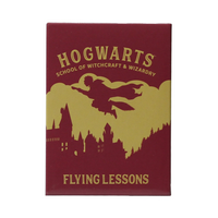 HARRY POTTER - Flying Lessons - Magnet