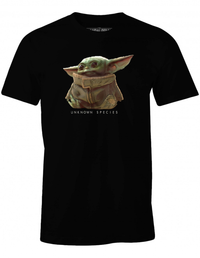 THE MANDALORIAN - Espèce inconnue - T-shirt homme (L)