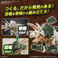 DINOSAUR - New Dinosaur Plastic Triceratops (Tentative) - Model Kit