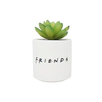 FRIENDS - Central Perk - Faux Pot à Plantes 6.5cm