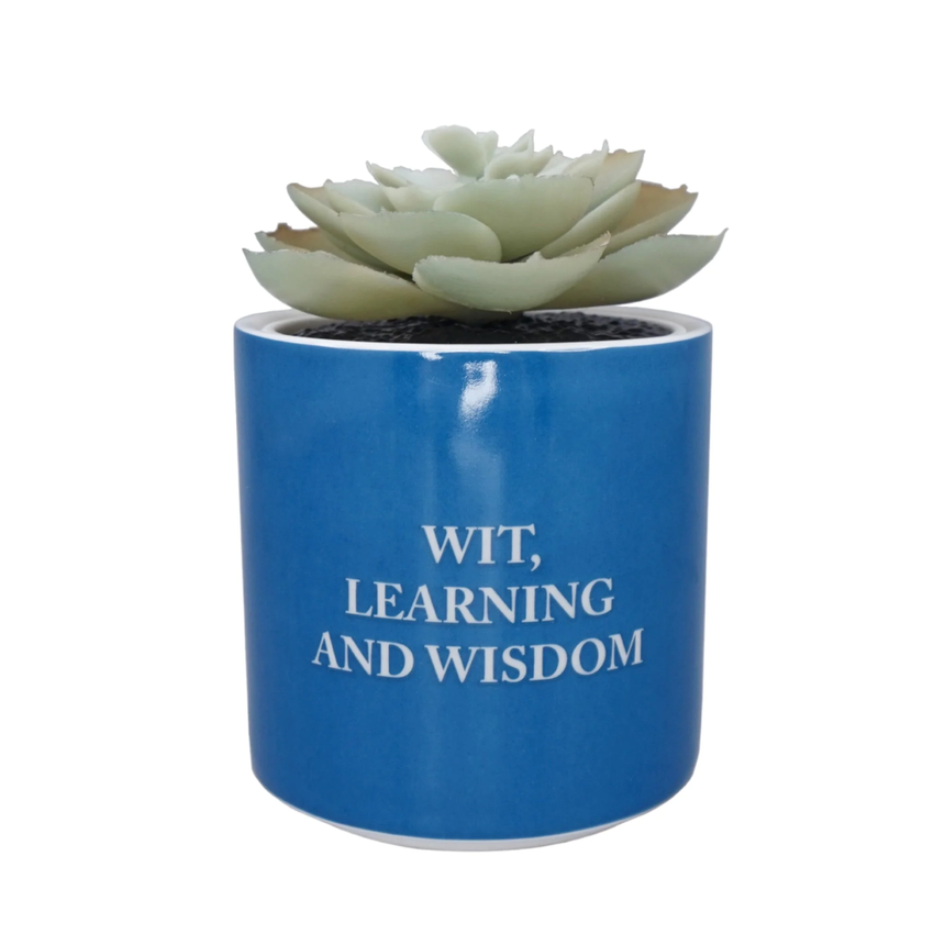 HARRY POTTER - Serdaigle - Faux Pot à Plantes 6.5cm