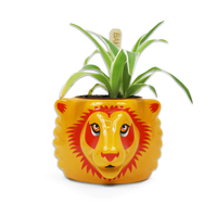 HARRY POTTER - Gryffondor - Pot Pour Plante