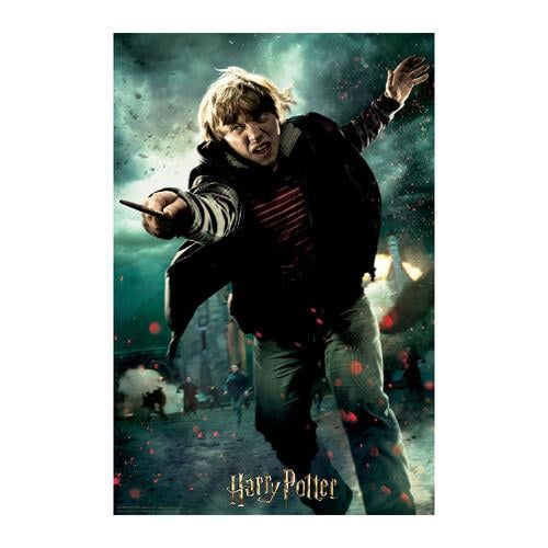 HARRY POTTER - Ron - Puzzle lenticulaire 3D 300P '46x31cm'