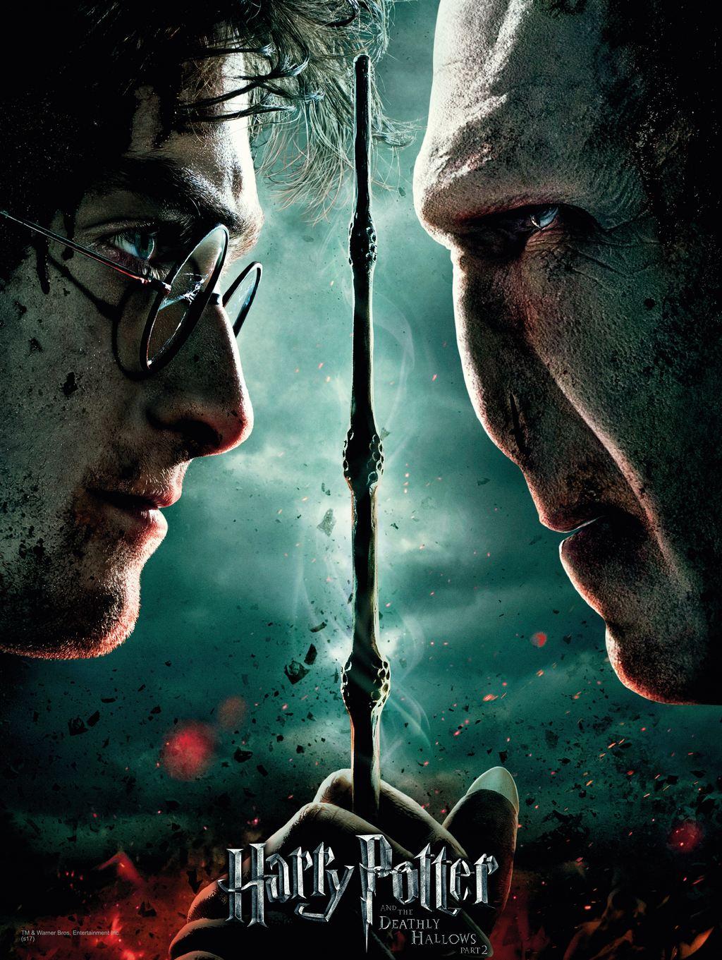 HARRY POTTER - Impression en Verre - Harry / Voldemort - 30X40 Cm