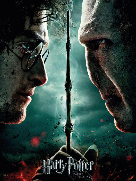 HARRY POTTER - Impression en Verre - Harry / Voldemort - 30X40 Cm
