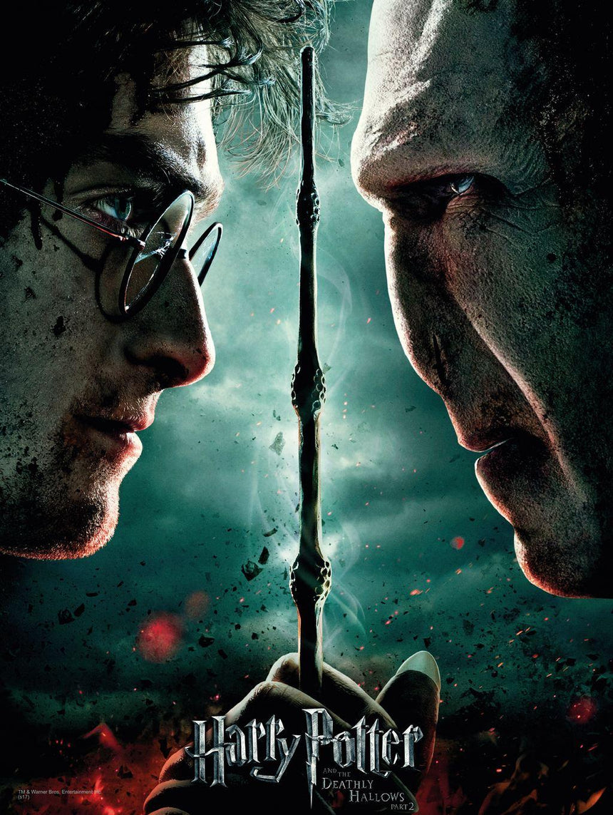HARRY POTTER - Impression en Verre - Harry / Voldemort - 30X40 Cm