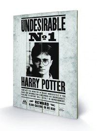 HARRY POTTER - Undesirable N° 1 - Impression sur bois 40x59cm