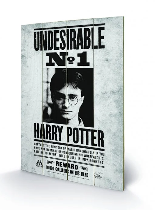HARRY POTTER - Undesirable N° 1 - Impression sur bois 40x59cm