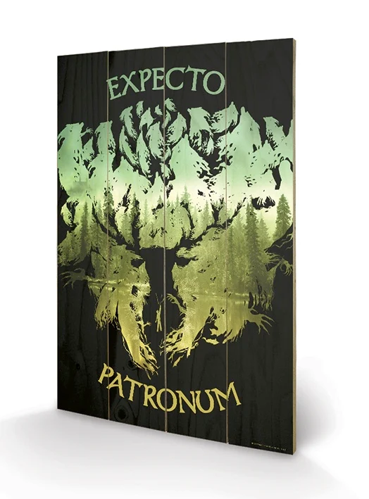 HARRY POTTER - Expecto Patronum - Impression sur bois 40x59cm