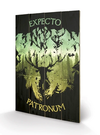 HARRY POTTER - Expecto Patronum - Impression sur bois 40x59cm