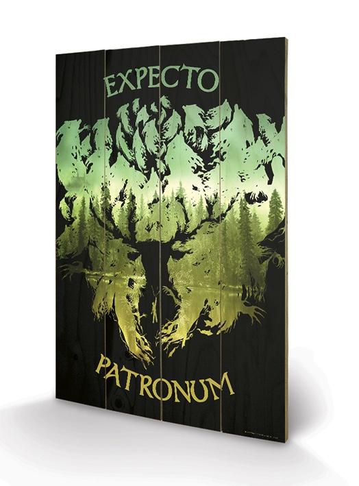 HARRY POTTER - Expecto Patronum - Impression sur bois 40x59cm